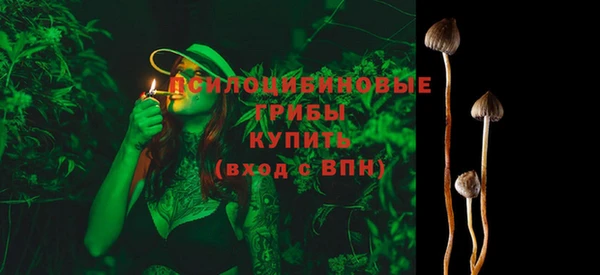 прущие крисы Инта