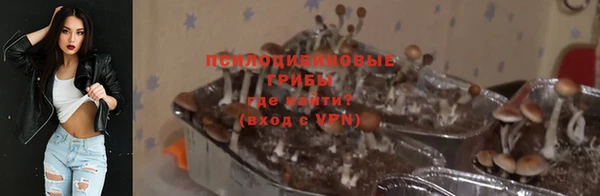 прущие крисы Инта