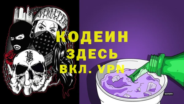 прущие крисы Инта