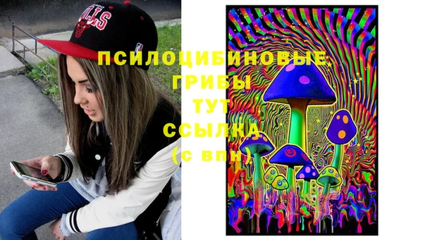 соль курить ск Инсар