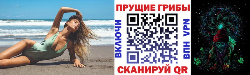 Галлюциногенные грибы прущие грибы  Купить  Краснознаменск 